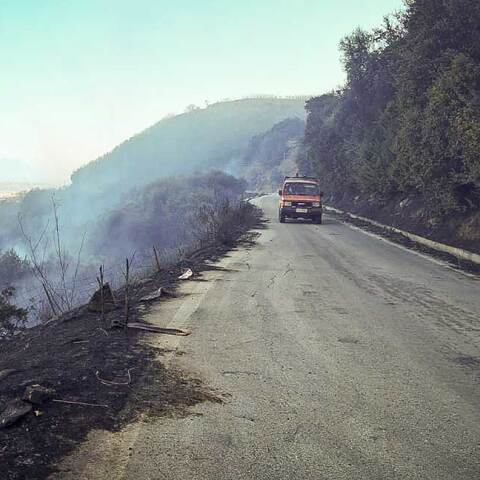 Καμένη γη μετά τη φωτιά