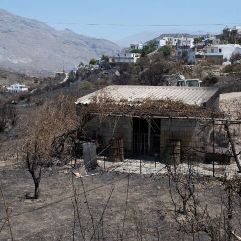 Στον Δήμο Αγίου Βασιλείου στο Ρέθυμνο ξεκίνησαν οι αυτοψίες για την ταχεία καταγραφή των ζημιών από την καταστροφική πυρκαγιά.