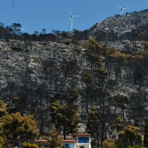 Φωτιά στη Βοιωτία