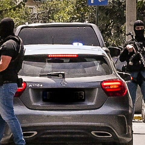 Υπόθεση Greek Mafia: Οι ρόλοι του «πίτμπουλ» και «μπουλντόγκ» - Συνελήφθησαν 49χρονος και 37χρονος