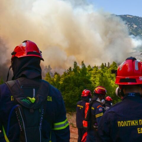 Φωτιά εκδηλώθηκε στα Παγούρια Κομοτηνής - Επιχειρούν 10 πυροσβέστες με 4 οχήματα - Στην κατηγορία 3 ο κίνδυνος πυρκαγιάς, έρευνα από το Ανακριτικό