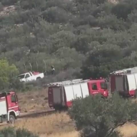 Πυροσβεστικά οχήματα σχηματίζουν «τείχος» στο βουνό για τη φωτιά στον Κουβαρά