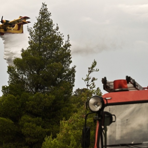 Καναντέρ και όχημα της πυροσβεστικής