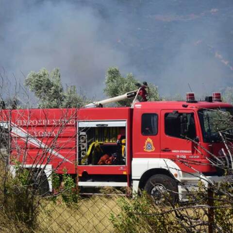 Πυροσβεστικό όχημα σε δασική πυρκαγιά