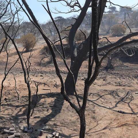 Καμένη γη μετά τη φωτιά
