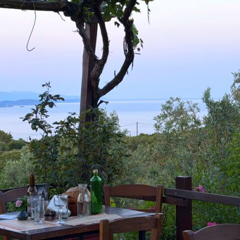 Ktima: μια sui generis ταβέρνα στο Νότιο Πήλιο