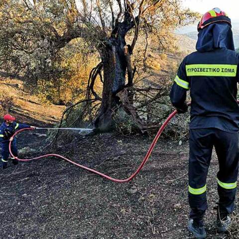 Πυροσβέστης επιχειρεί σε φωτιά στην Κάρυστο