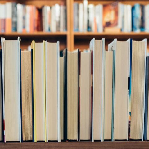 Αναρτήθηκαν οι προσωρινοί πίνακες για τις επιταγές βιβλίων της ΔΥΠΑ 
