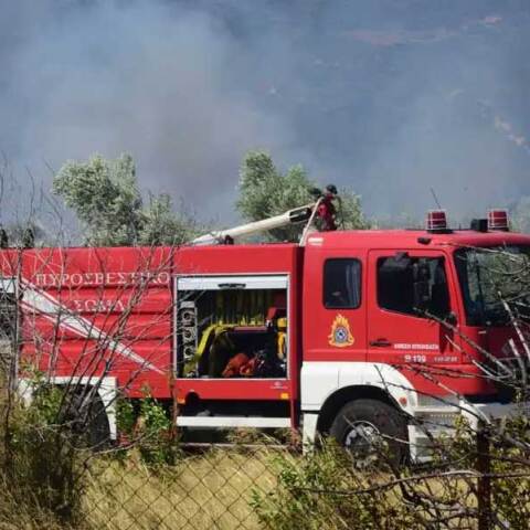 Πυροσβέστες σβήνουν δασική πυρκαγιά