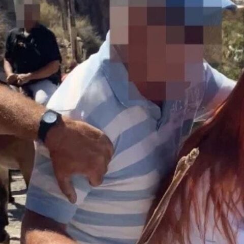 Ακτιβίστριες της PETA καταγγέλλουν επίθεση από αγωγιάτες στη Σαντορίνη κατά τη διάρκεια δράσης για τα γαϊδουράκια - Η οργάνωση θα κινηθεί νομικά 
