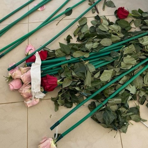 Επιχείρηση «Τα άνθη του κακού»: Κύκλωμα έκρυβε 84 κιλά κοκαΐνης μέσα σε τριαντάφυλλα