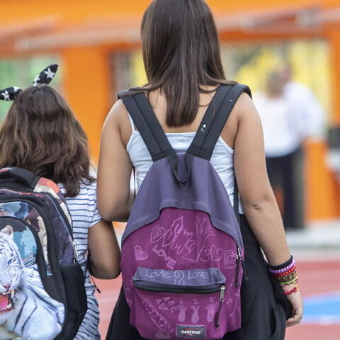 Μαθητικές επιδόσεις, ανισότητα και αναχρονιστικές ιδέες