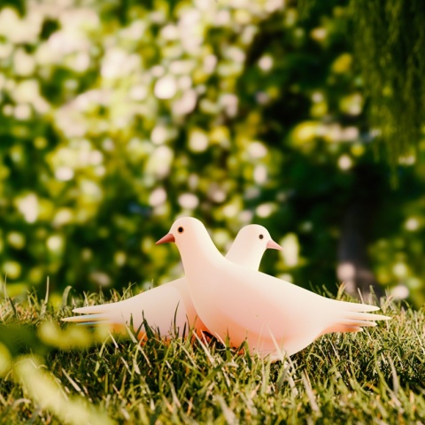 Περιστέρια λευκά σε γκαζόν