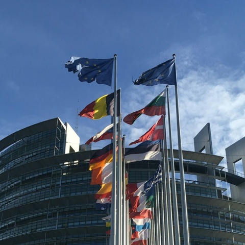 Σημαίες μελών της Ευρωπαϊκής Ένωσης έξω από το Ευρωκοινοβούλιο στο Στρασβούργο