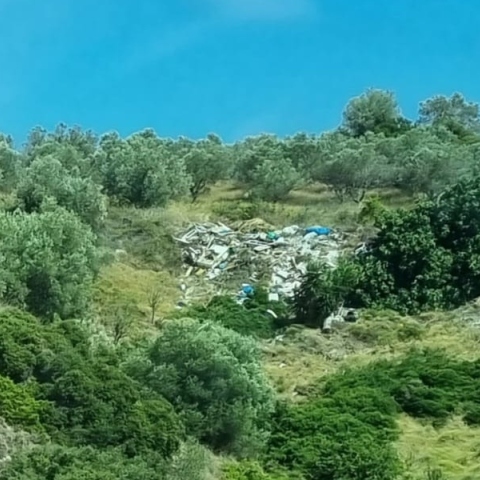 Η εικόνα - σύμβολο της καλοκαιρινής Ελλάδας από μια αυτοσχέδια χωματερή.