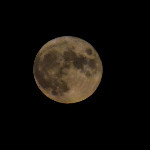 Πανσέληνος