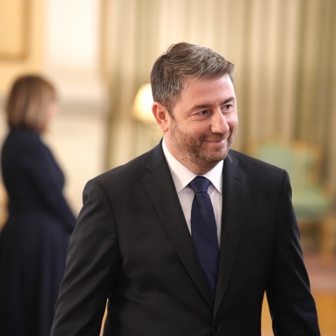 Νίκος Ανδρουλάκης, πρόεδρος ΠΑΣΟΚ