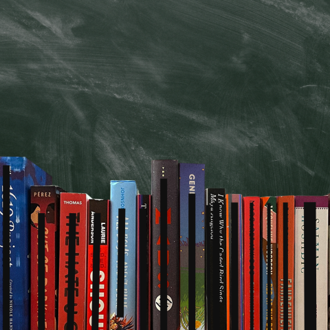 Οι απαγορεύσεις βιβλίων σε σχολεία και βιβλιοθήκες των ΗΠΑ έχει υπερδιπλασιαστεί 