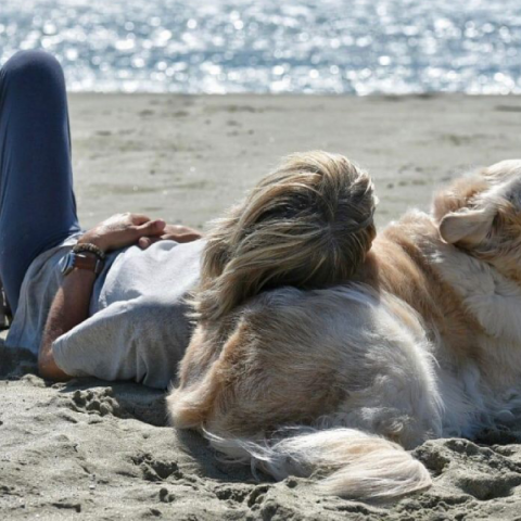Γυναίκα και σκύλος στην παραλία