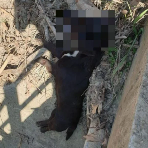 στιγμιοτυπο-οθονης-2023-02-21-191807