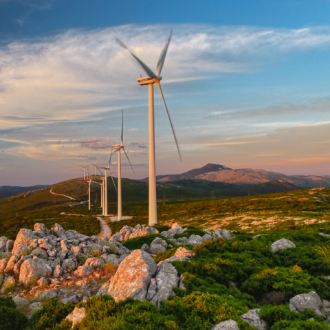 Το «επιστημονικό» μέτωπο εναντίον των αιολικών