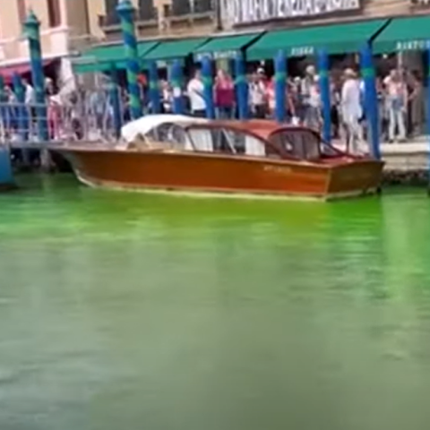 Πράσινο το Μεγάλο Κανάλι στη Βενετία