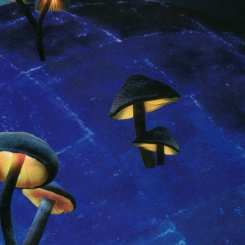 Τα βιβλία του Φανταστικού