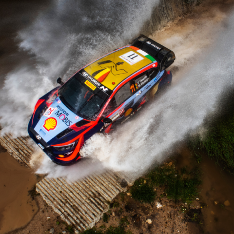 Ράλλυ Σαρδηνίας: Ανασκόπηση