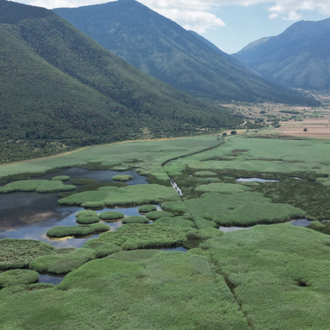 Στυμφαλία: 8 μαγευτικά κλικ από τη λίμνη με τη μυθική ομορφιά