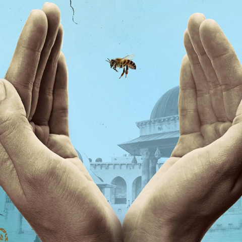 Christy Lefteri, «O μελισσοκόμος απ’ το Χαλέπι» Πόλεμος, πένθος, φυγή και ελπίδα