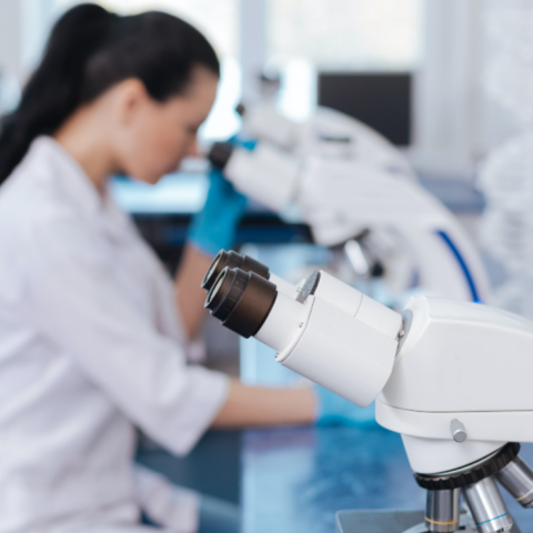 Εργαστήριο