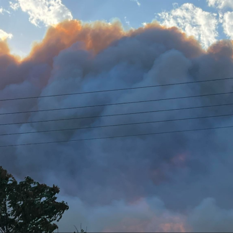 Φωτιά στην Αλεξανδρούπολη