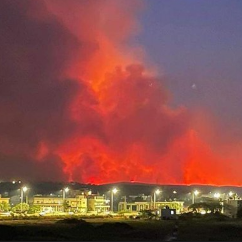 Φωτιά στην Αλεξανδρούπολη