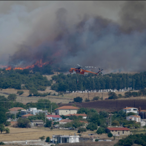 Φωτιά στην Αλεξανδρούπολη