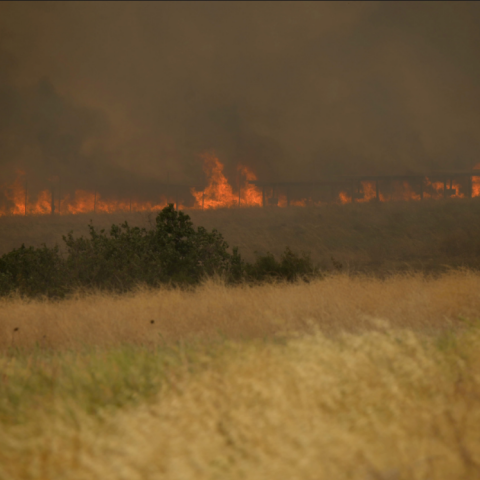 Φωτιά στην Αλεξανδρούπολη