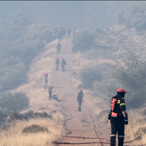 Στο πλευρό των πυρόπληκτων ο Δήμος Αχαρνών