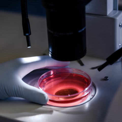 Νέα γενετική εξέταση για ασθενείς με οξεία λευχαιμία έλαβε έγκριση αποζημίωσης στις ΗΠΑ