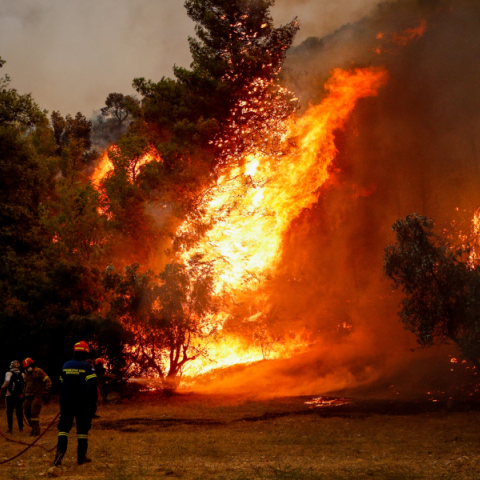 ΠΥΡΚΑΓΙΑ ΣΤΗΝ ΦΥΛΗ ΚΟΝΤΑ ΣΤΗΝ Ι. ΜΟΝΗ ΚΛΕΙΣΤΩΝ