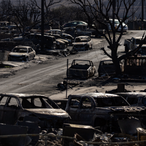 Οι πυρκαγιές εδώ και αλλού