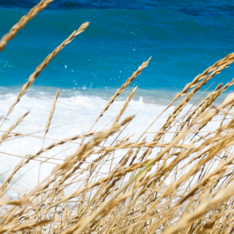 Ο καιρός αύριο, Παρασκευή 25 Αυγούστου