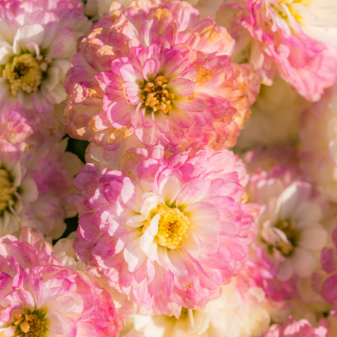 Εορτολόγιο: Σήμερα 25 Αυγούστου γιορτάζει…