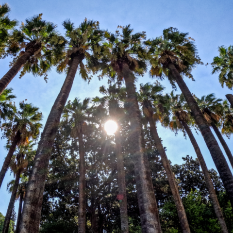Πρόγνωση καιρού για αύριο 26 Αυγούστου