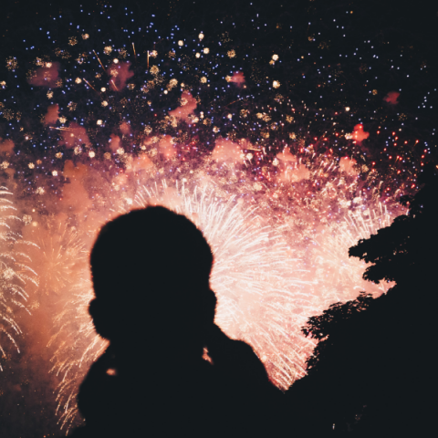 Πόσο κοστίζει να παίξεις με τη φωτιά εν μέσω αντιπυρικής περιόδου; Σχεδόν καθόλου