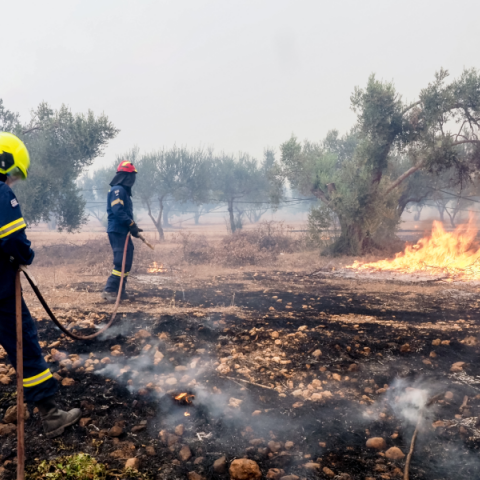 Βρέθηκε η λύση και για τις πυρκαγιές: κι άλλες προσλήψεις