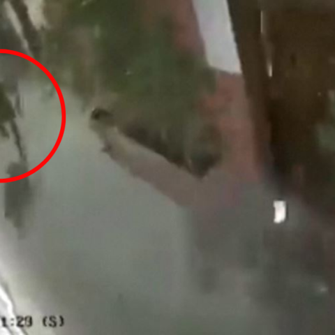 ανωνυμο_σχεδιο