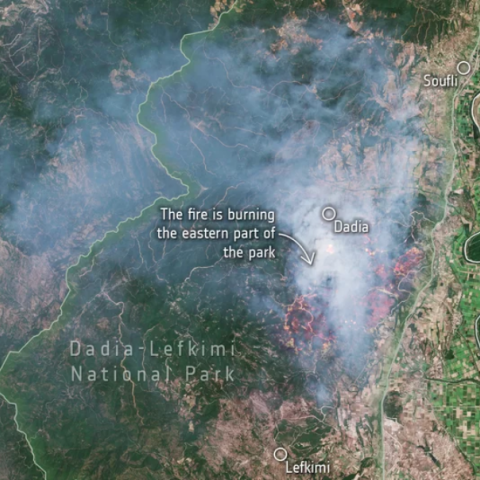 Παιδική ζημιά ή παγκόσμιος πόλεμος;