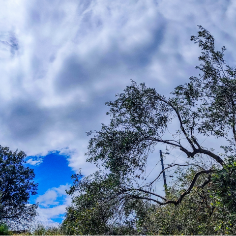 Ο καιρός αύριο Δευτέρα - Πρόγνωση για μικρή πτώση θερμοκρασίας και συννεφιά