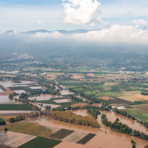 Απολυμάνσεις σε σπίτια και ελέγχους σε χωράφια στη Θεσσαλία, προτείνει ο καθηγητής Σαρηγιάννης