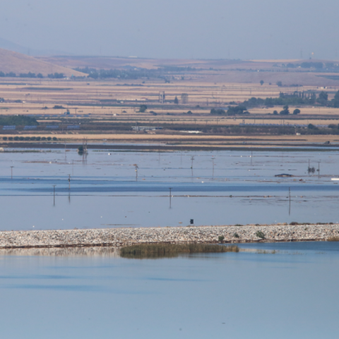 Λίμνη Κάρλα: Αποκαλυπτικές δορυφορικές εικόνες 