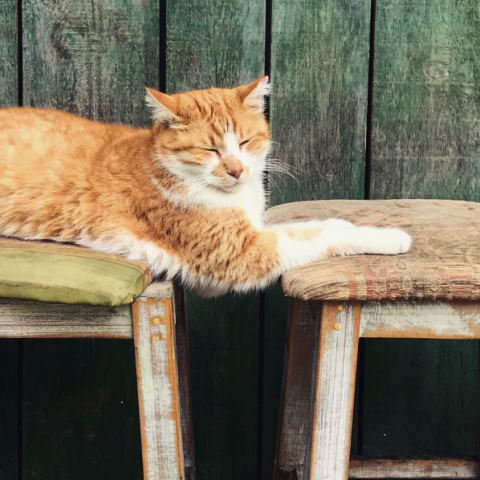 Είσαι 50+; Διάλεξε τη σωστή καρέκλα